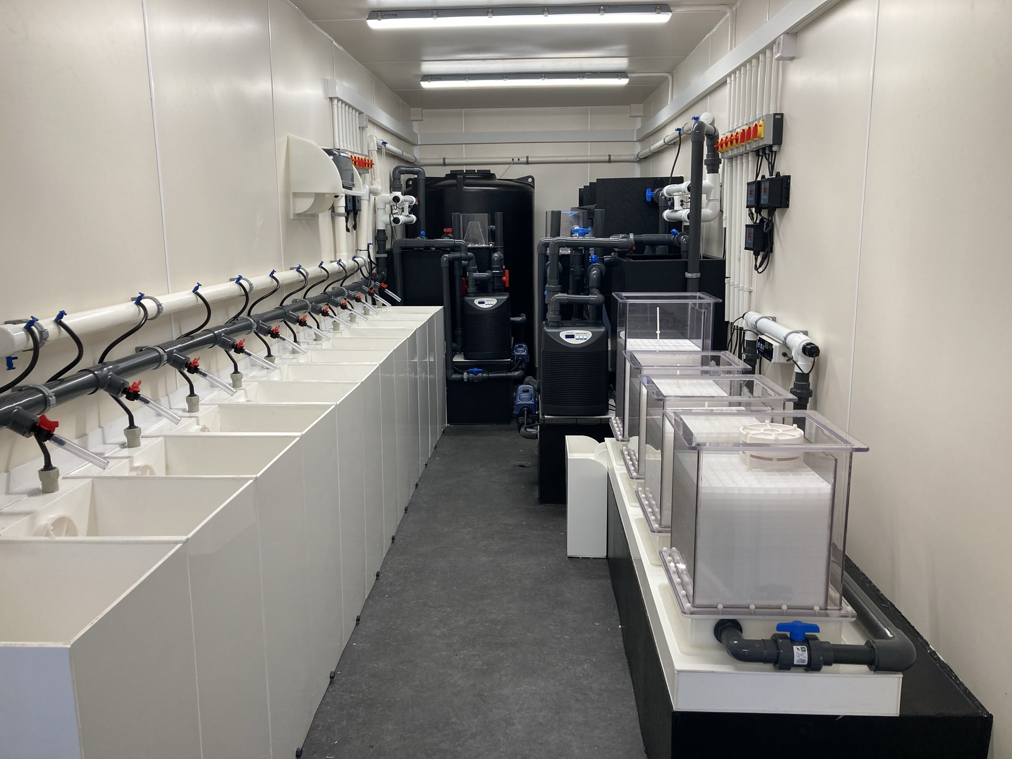 Purpose-built rearing tanks and water filtration systems inside the East Neuk Lobster Hatchery, where juvenile lobsters are raised before release into the sea.